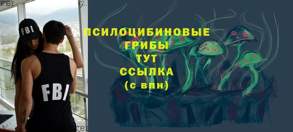 прущие грибы Абинск