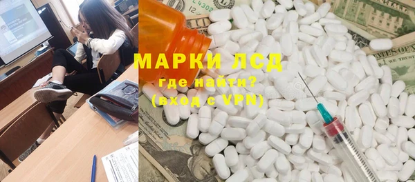 прущие грибы Абинск
