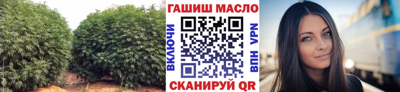 Дистиллят ТГК THC oil Хилок