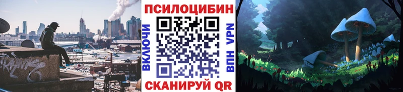 магазин продажи   Хилок  Псилоцибиновые грибы прущие грибы 
